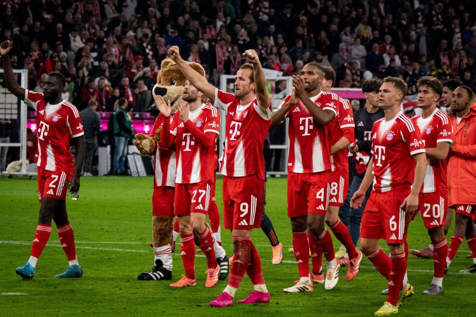 主帅海耶也, com 主帅海耶也, com