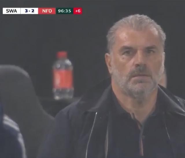 jpg, 队斯旺西 jpg, 队斯旺西